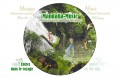 Détails : Mandalia music: musique et instruments de de relaxation